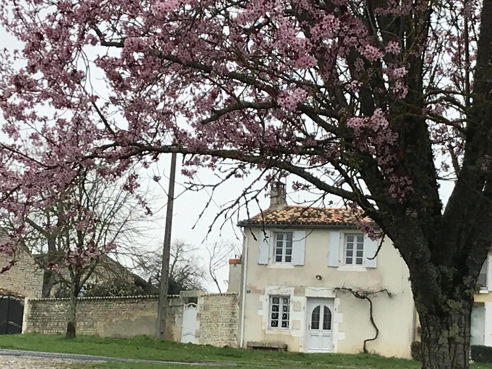 La Maison De Josephine Montignac-Charente Dış mekan fotoğraf